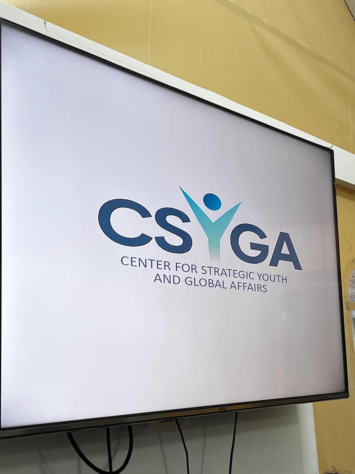 Diplomacy Simulations